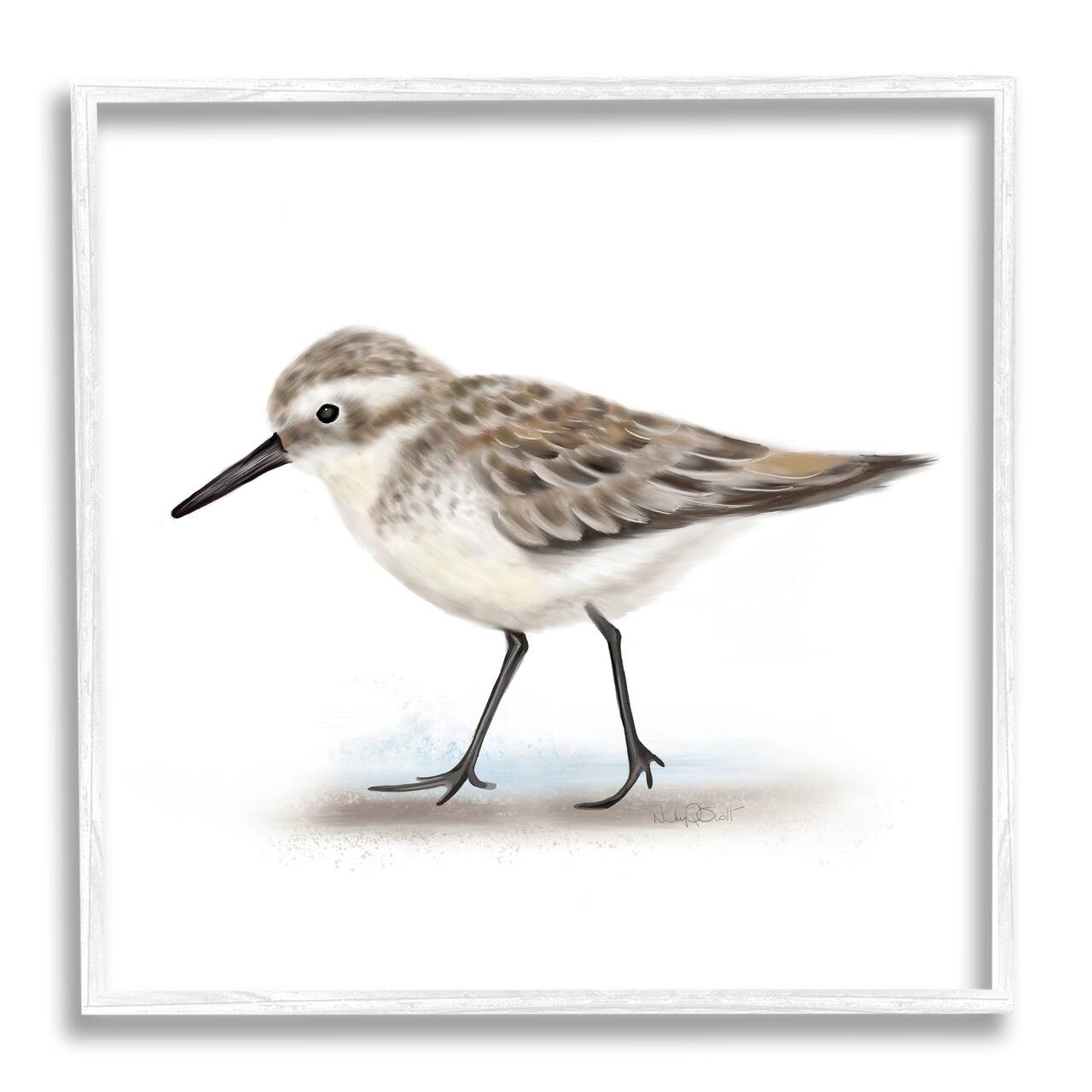 Stupell Industries Nautical Sandpiper Bird on Sand Speckled Feathers in White Frame Wall Art